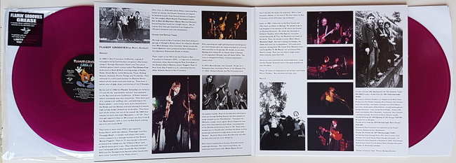 Flamin Groovies 2LP pic crop 650px